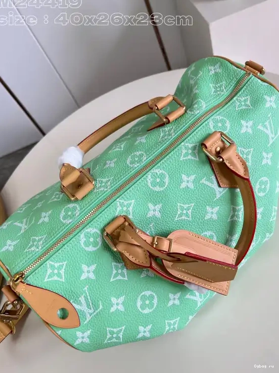 40 Vuitton SPEEDY Louis 0519